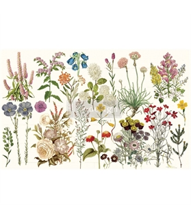 Redesign Decoupage Décor Tissue Paper - Wild Herbs