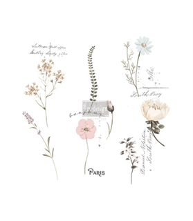 [655350632915] Redesign Décor Transfers® - Bonjour Paris - 17,78 cm x 68,58 cm each image