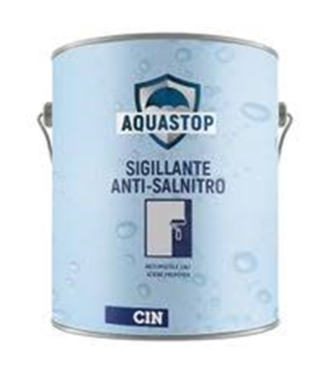 ANTISALNITRO A SOLVENTE BOERO