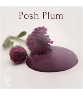 FB_IMG_POSH PLUM