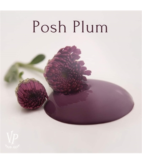 FB_IMG_POSH PLUM