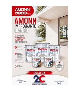 locandina amonn