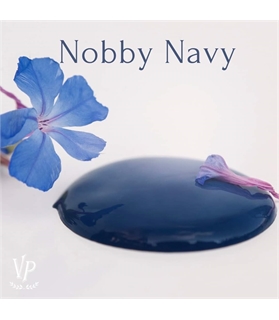 FB_IMG_NOBBY NAVY